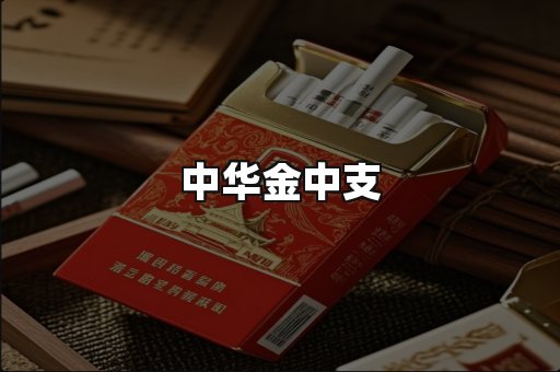 中华金中支